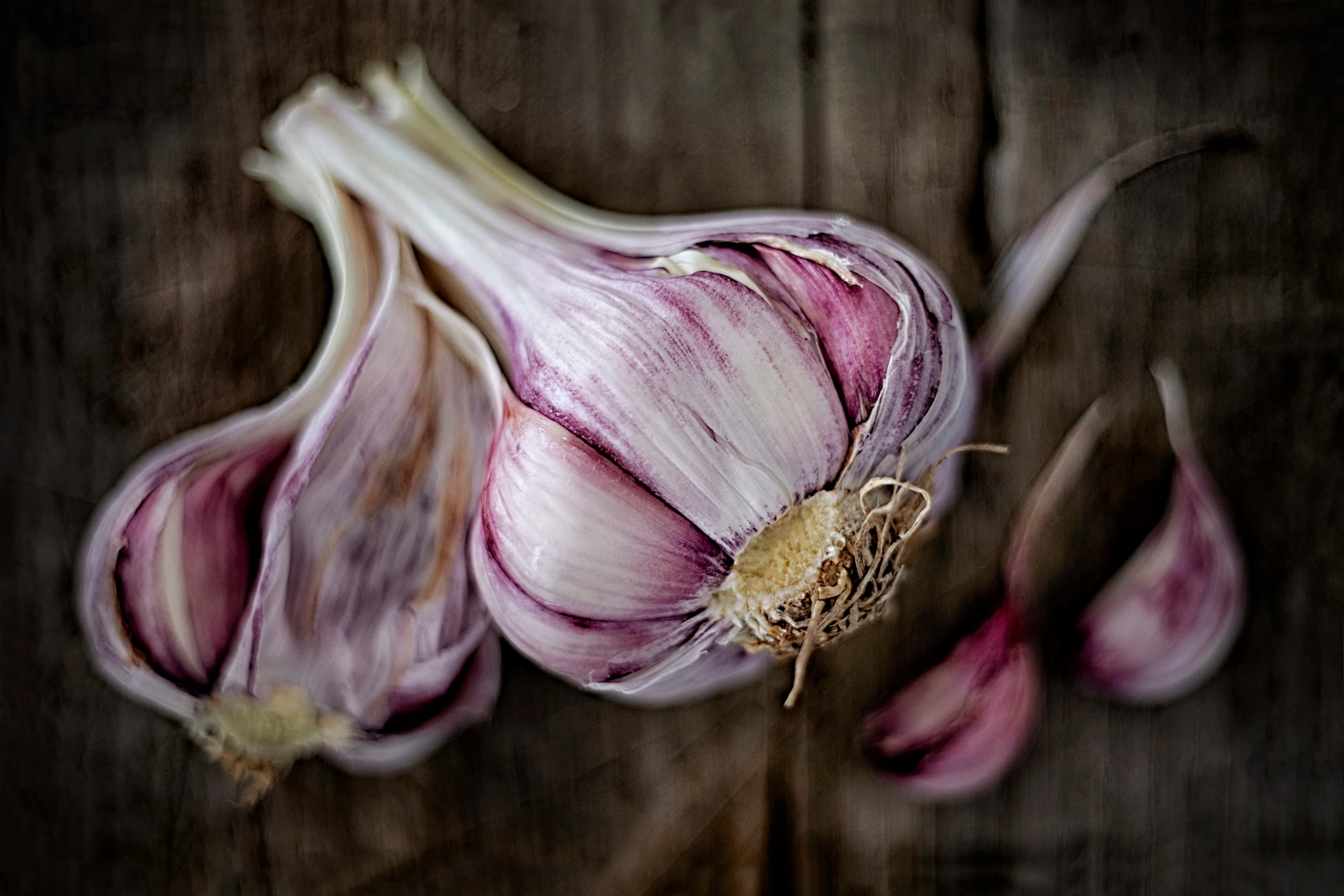Garlic